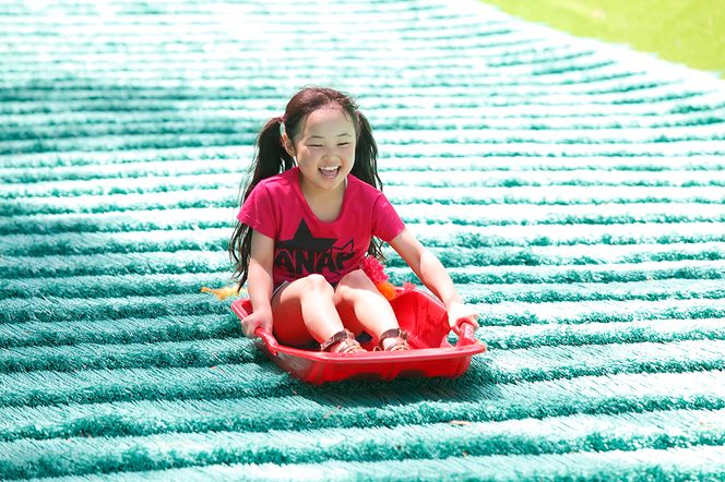 富士すばるランド　ワンデーパス2名様分 FAC002