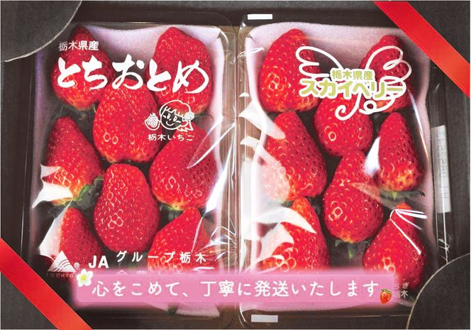 ショッピング正規品 苺さくらんぼ様専用からからせんべい3袋 | www