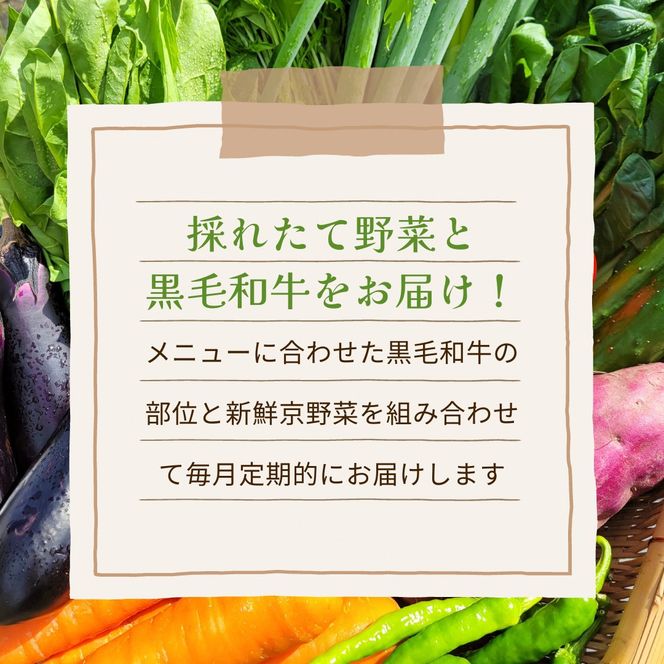 【12回定期便】黒毛和牛 ＆ 旬の京野菜 詰合せ　毎月お届け・全12回コース《京都 丹波 和牛 お楽しみ》 ※沖縄・離島・諸島へのお届け不可