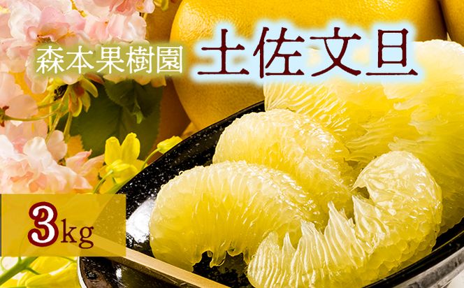 土佐文旦贈答用約3ｋｇ（森本果樹園）