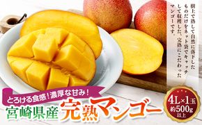 ＜宮崎県産完熟マンゴー 4L×1玉（500g以上）＞2025年4月中旬～7月下旬までに順次出荷【c1129_mm_x1】