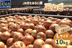 【予約：2025年9月上旬から順次発送】JAきたみらい産 玉ねぎ Lサイズ 10kg ( タマネギ たまねぎ 野菜 )【210-0001】