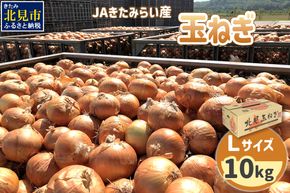 【予約：2025年9月上旬から順次発送】JAきたみらい産 玉ねぎ Lサイズ 10kg ( タマネギ たまねぎ 野菜 )【210-0001】
