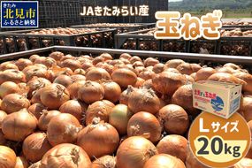 【予約：2025年9月上旬から順次発送】JAきたみらい産 玉ねぎ Lサイズ 20kg ( タマネギ たまねぎ 野菜 )【210-0002】