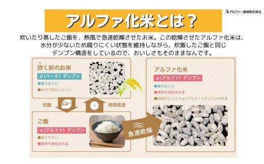 非常食3日家族4人分【安心米9食セット】防災 備蓄 長期/アルファ化米/食物アレルギー対応 322032_AP045