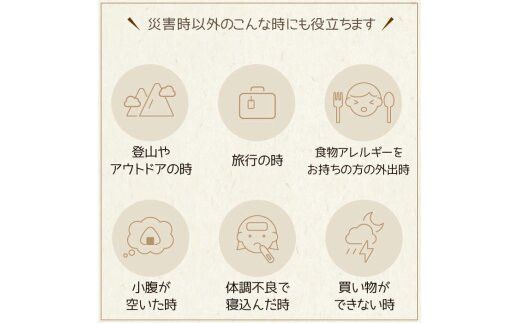 非常食【備えて安心お米の12食セット×２】防災 備蓄 長期保存 アルファ化米 おかゆ/食物アレルギー 322032_AP049