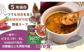 【からだを想う野菜スープ】和風五目30食セット/レトルト/食物アレルギー対応/長期保存/防災食 322032_AP053
