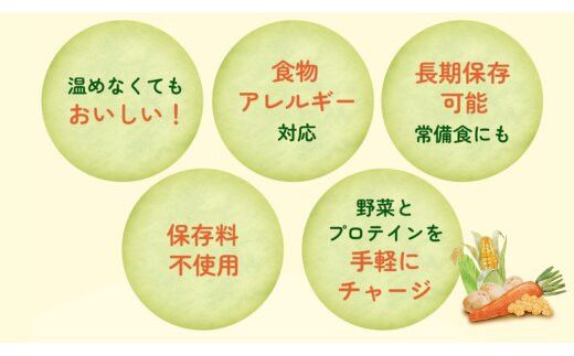 【からだを想う野菜スープ】ひよこ豆カレー10食セット/レトルト/食物アレルギー対応/長期保存/防災食 322032_AP057