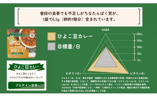 【からだを想う野菜スープ】ひよこ豆カレー10食セット/レトルト/食物アレルギー対応/長期保存/防災食 322032_AP057