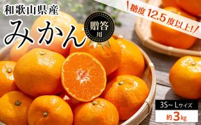 和歌山県産 糖度 12.5度以上 秀品 贈答用 みかん 3kg 3S ～ Lサイズ混合［MG54］ 303446_AB96129