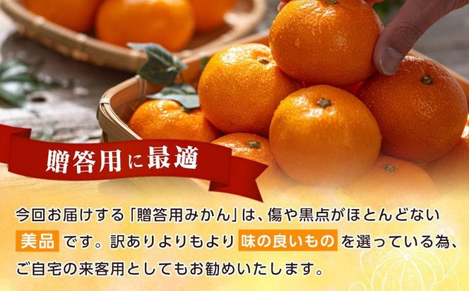 和歌山県産 糖度 12.5度以上 秀品 贈答用 みかん 5kg 3S～L サイズ混合［MG55］ 303446_AB96130