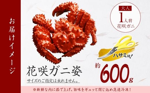 2926. 花咲蟹 姿 600g 食べ方ガイド・専用ハサミ付 カニ かに 蟹 蟹肉 送料無料 北海道 弟子屈町