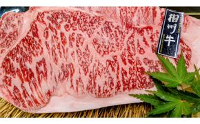 小田原 中川食肉おすすめ　かながわブランド　相州牛ロースステーキ用600ｇ 142069_BF001