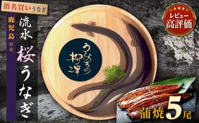 うなぎの柳澤　うなぎ蒲焼5尾（計850g） 464686_AR05