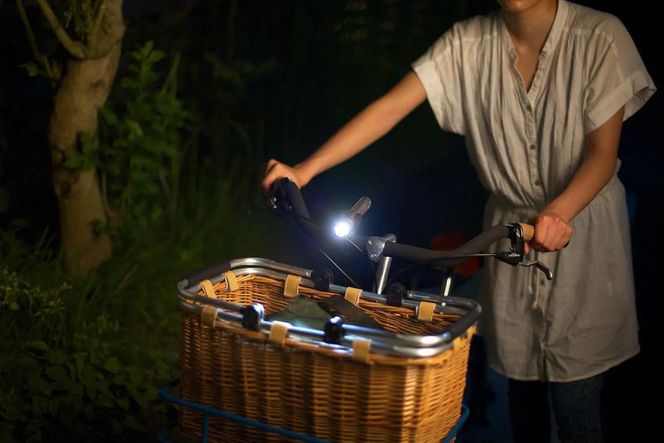 【世界初の全方位受光ソーラー】スフェラースティック 4色セット（ソーラーLEDペンライト）［ 京都 世界初 太陽電池 スフェラ―パワー ランプ アウトドア キャンプ LEDライト LED 災害用 電気 間接照明 照明 ふるさと おしゃれ かっこいい 京都 通販 送料無料 ふるさと納税 ］  261009_B-TM19