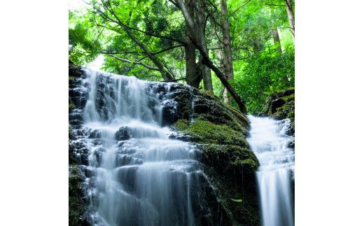 出雲ノ高濃度水素水　末広セット 322032_DZ002