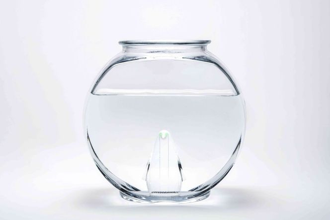 【世界初の全方位受光ソーラー】スフェラーペンギン＜3色セット＞［ 京都 世界初 太陽電池 スフェラ―パワー ペンギン ソーラー オブジェ かわいい 不思議 水槽用装飾品 ふるさと おしゃれ かっこいい 京都 通販 送料無料 ふるさと納税 ］  261009_B-TM16