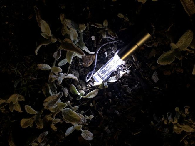 【世界初の全方位受光ソーラー】スフェラースティックW（ソーラーLEDペンライト）［ 京都 世界初 太陽電池 スフェラ―パワー ランプ アウトドア キャンプ LEDライト LED 災害用 電気 間接照明 照明 ふるさと おしゃれ かっこいい 京都 通販 送料無料 ふるさと納税 ］  261009_B-TM17