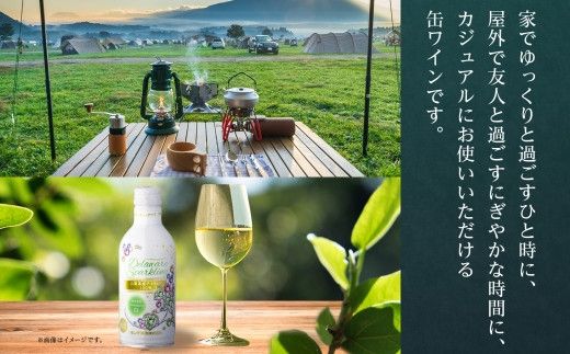 デラウェアスパークリング 290ml 12本入 モンデ酒造 177-4-023