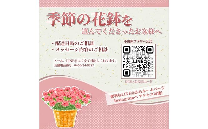 【定期便年6回　季節の花鉢】農林水産大臣賞を受賞したフローリストがアレンジする 季節を知らせる花鉢【 花 お花 神奈川県 小田原市 】 142069_GL008