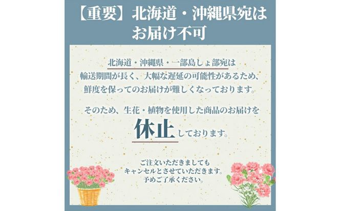 【定期便年6回　季節の花鉢】農林水産大臣賞を受賞したフローリストがアレンジする 季節を知らせる花鉢【 花 お花 神奈川県 小田原市 】 142069_GL008