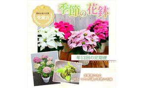 【定期便年12回　季節の花鉢】農林水産大臣賞を受賞したフローリストがアレンジする 季節を知らせる花鉢【 花 お花 神奈川県 小田原市 】 142069_GL009