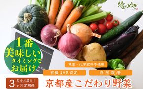 ＜3か月定期便＞【緑のゆうき】購入された野菜の売上の1％が、社会貢献に 京都産のこだわり野菜（有機野菜、栽培期間中農薬・化学肥料不使用など）を 美味しいタイミングで収穫したセット 261009_B-KS21