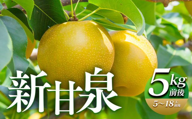 y挧khz290.ys\zVÐ@5kgOi5`18ʑOjb Ȃ VÐ 񂩂񂹂  8{`9{ɏ\ 313726_AN063