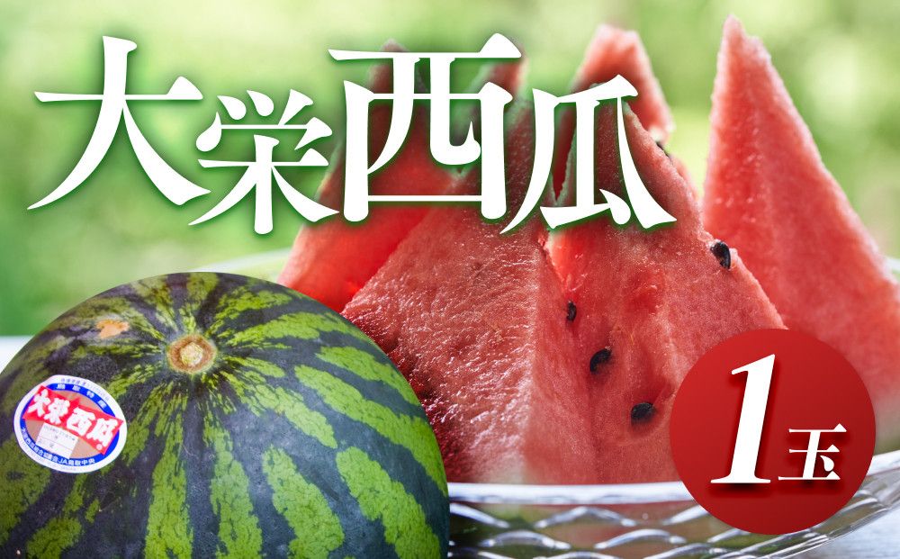 998.[先行予約][ふるさと納税]大栄西瓜 1玉(高間商店)※6月中旬〜7月中旬頃に順次発送予定 313726