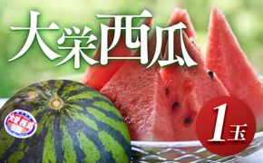 998.【先行予約】【ふるさと納税】大栄西瓜　1玉（高間商店）※6月中旬～7月中旬頃に順次発送予定 313726_AN123
