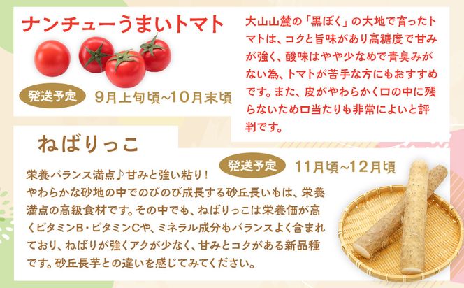 1015.【先行予約 2026年8月以降発送】 鳥取県北栄町から旬の美味しさをお届け！特産づくし【5回定期便】 313726_BN022