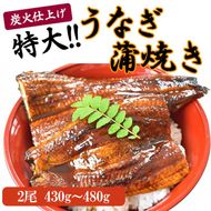 うなぎ蒲焼き2尾入り 430g～480g（蒲焼たれ4袋 山椒付き）［KS5］ 303446_BA1014