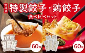 悠瑠里特製餃子60個&鶏餃子60個 食べ比べセット_M293-006