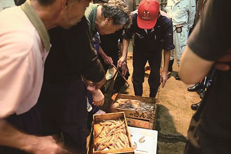 y茧szAA075VR̍DLČb݁@C̍KґOZbg