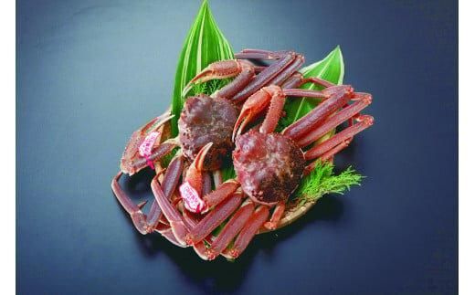 y挧khz94.yz^OttKj@22025N11{`2026N3{ɏ\ 313726_AL004VC01