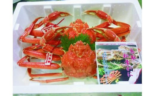94.【ボイル】タグ付き松葉ガニ　特大2枚※2025年11月上旬～2026年3月下旬頃に順次発送予定 313726_AL004VC02