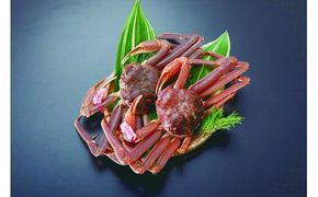 96.【ボイル】タグ付き松葉ガニ　2枚※2025年11月上旬～2026年3月下旬頃に順次発送予定 313726_AL006VC02