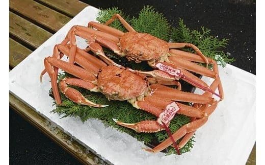 96.【ボイル】タグ付き松葉ガニ　2枚※2025年11月上旬～2026年3月下旬頃に順次発送予定 313726_AL006VC02