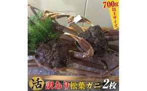 100.【活】訳あり　松葉ガニ　2枚◇※2025年11月上旬～2026年3月下旬頃に順次発送予定※着日指定不可 313726_AL007VC01