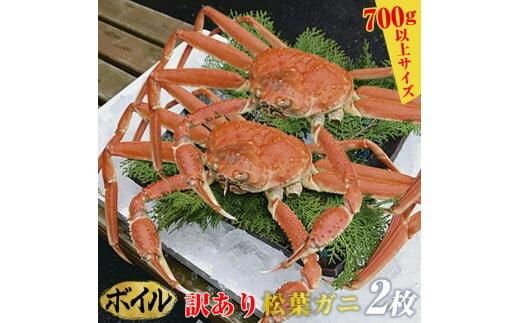 100.[ボイル]訳あり 松葉ガニ 2枚◇※2025年11月上旬〜2026年3月下旬頃に順次発送予定※着日指定不可 313726_AL007VC02