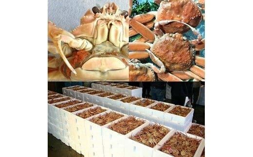 103.【活】鳥取県産 セコガニ 訳あり 良品 2kg※2025年11月上旬～12月下旬頃に順次発送予定◇ 313726_AL009VC01