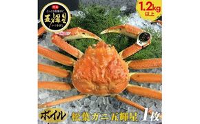 576.【ボイル】鳥取ブランド　松葉ガニ『五輝星』※2025年11月上旬～2026年3月下旬頃に順次発送予定※着日指定不可 313726_AL010VC02