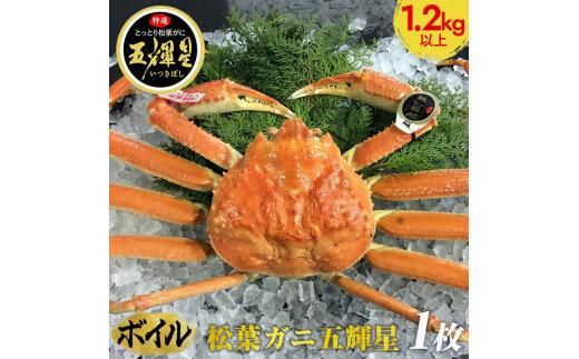 576.【ボイル】鳥取ブランド　松葉ガニ『五輝星』※2026年11月上旬～2027年3月下旬頃に順次発送予定※着日指定不可 313726_AL010VC02