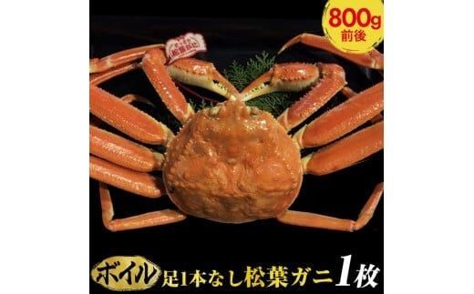667.[ボイル]足1本なし 訳あり 松葉ガニ 大1枚(800g前後)[着日指定不可]※2025年11月上旬〜2026年3月下旬頃に順次発送予定[かに カニ 蟹] 313726_AL015VC02