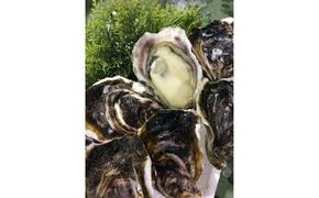 128.【2026年6月上旬以降発送 先行予約】鳥取県産　天然岩ガキ『夏輝』　おまかせ3kg(約7～12個) 牡蠣 カキ　※1個の重さによって個数が変わります　※着日指定不可※2026年6月上旬～8月下旬頃に順次発送予定 313726_AL016