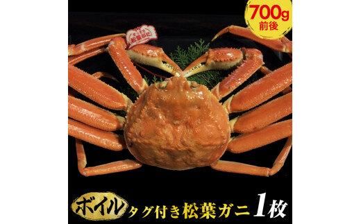 691.[早期受付][ボイル]タグ付き松葉ガニ 中1枚(700g前後)[かに カニ 蟹 ズワイガニ ]※着日指定不可※2025年11月上旬頃から順次発送予定 313726_AL018VC02