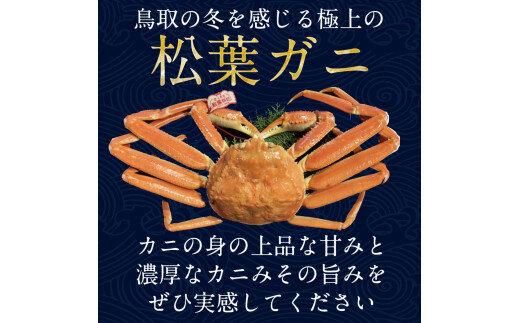 694【早期受付】【活】足1本なし　訳あり　松葉ガニ　中1枚（700g前後）《かに カニ 蟹 ズワイガニ 》※着日指定不可※2026年11月上旬頃から順次発送予定 313726_AL019VC01