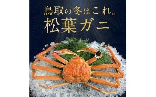 695.[早期受付][活]訳あり 松葉ガニおまかせ3kg(5〜8枚)[かに カニ 蟹 ズワイガニ]※着日指定不可※2025年11月上旬頃から順次発送予定 313726_AL022VC01