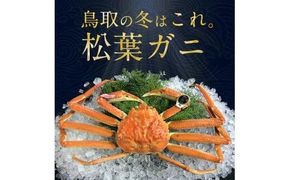 695.【早期受付】【活】訳あり　松葉ガニおまかせ3kg（5～8枚）《かに カニ 蟹 ズワイガニ》※着日指定不可※2026年11月上旬頃から順次発送予定 313726_AL022VC01