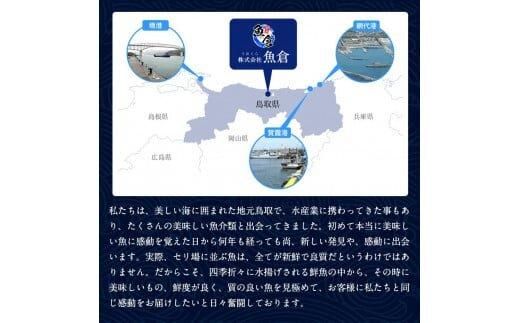 695.【早期受付】【活】訳あり　松葉ガニおまかせ3kg（5～8枚）《かに カニ 蟹 ズワイガニ》※着日指定不可※2026年11月上旬頃から順次発送予定 313726_AL022VC01